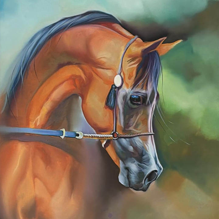 Horses